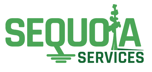 Sequoia