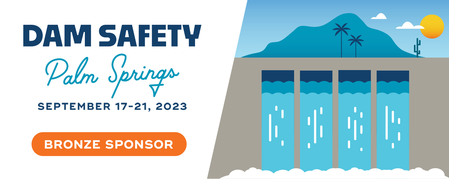 DS23_Sponsorship_Rectangular_Dam_LogoV2_Bronze.jpg