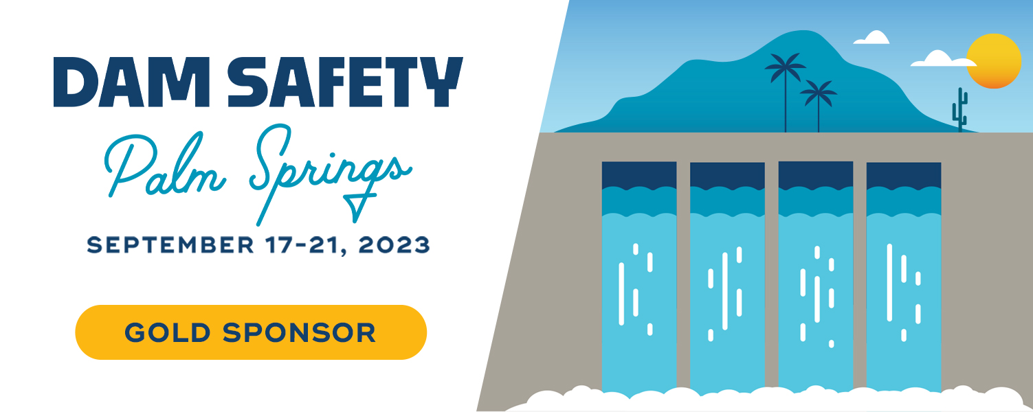 DS23_Sponsorship_Rectangular_Dam_LogoV2_Gold.jpg