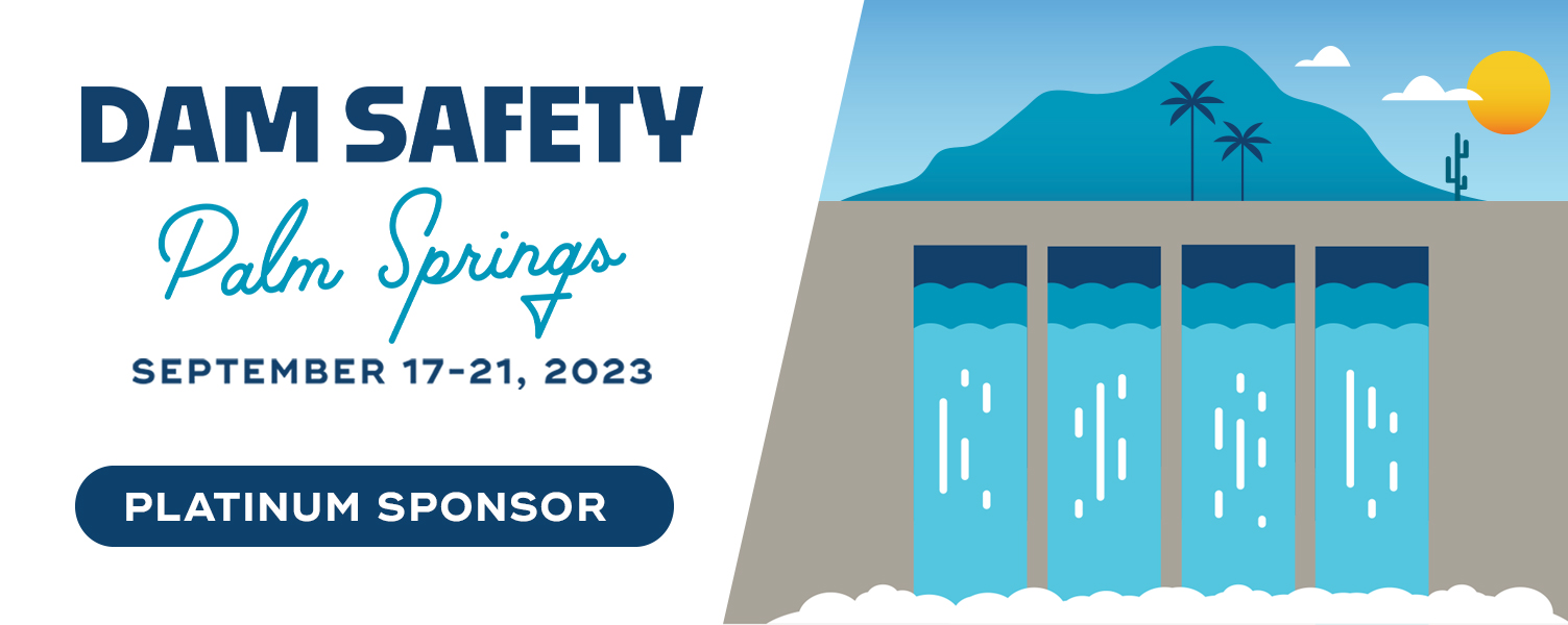 DS23_Sponsorship_Rectangular_Dam_LogoV2_Platinum.jpg