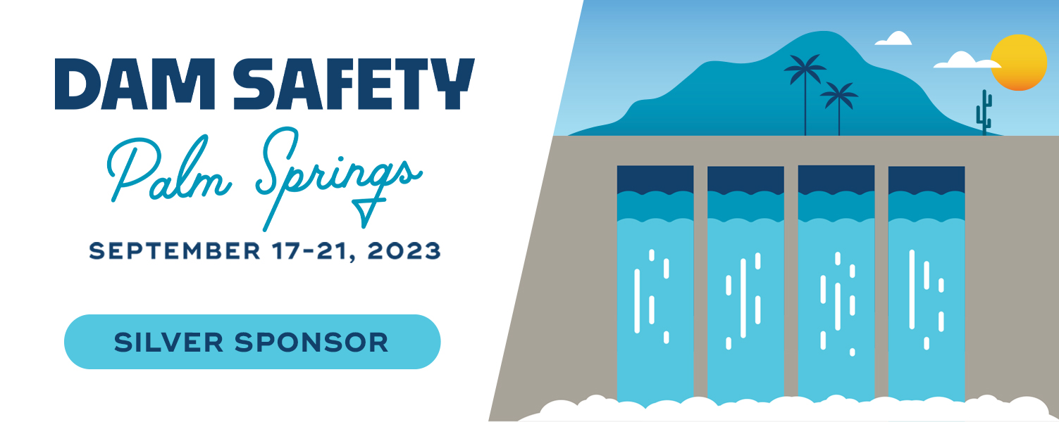 DS23_Sponsorship_Rectangular_Dam_LogoV2_Silver.jpg