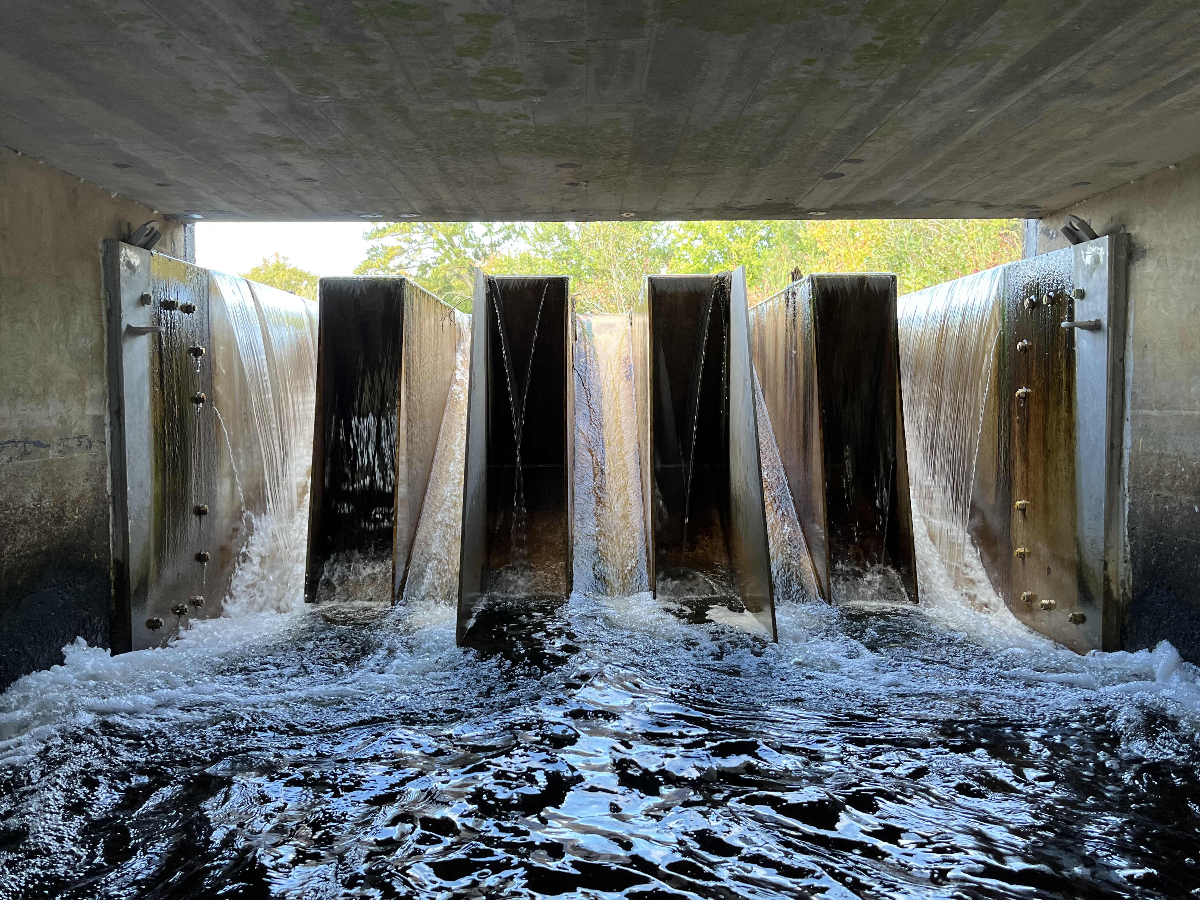 Burton Pond Dam