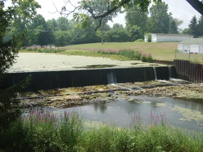 Overgrown Low Head Dam-min.jpg